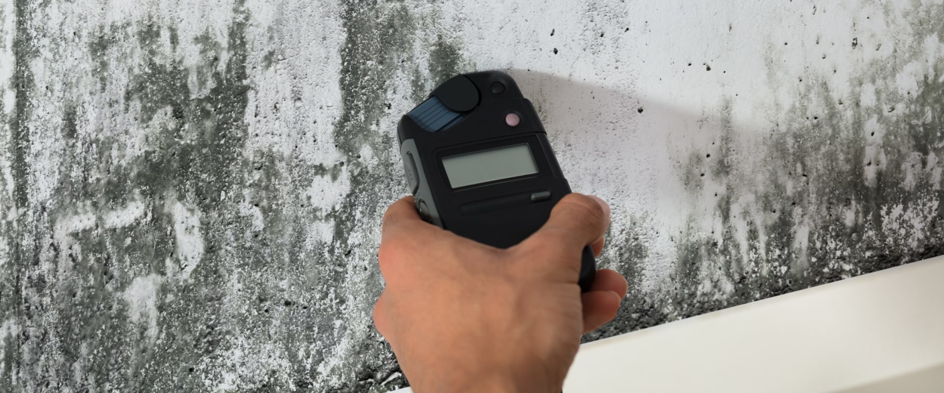 Mold Inspection: Protect Your Home and Health with Early Detection and Prevention