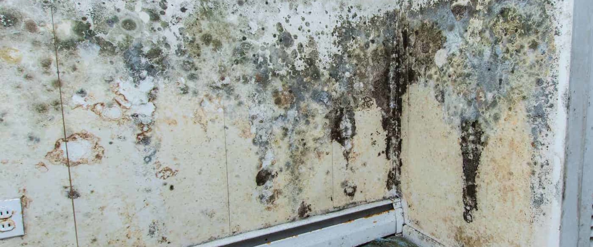 Where to report mold in a house?