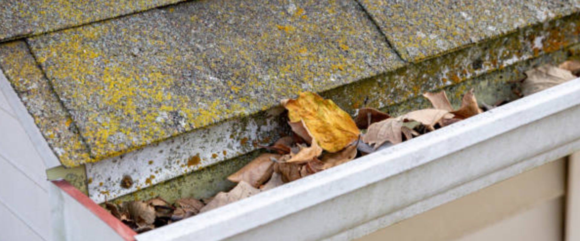 How Seasonal Roof Damage Can Trigger Unexpected Mold Problems Indoors