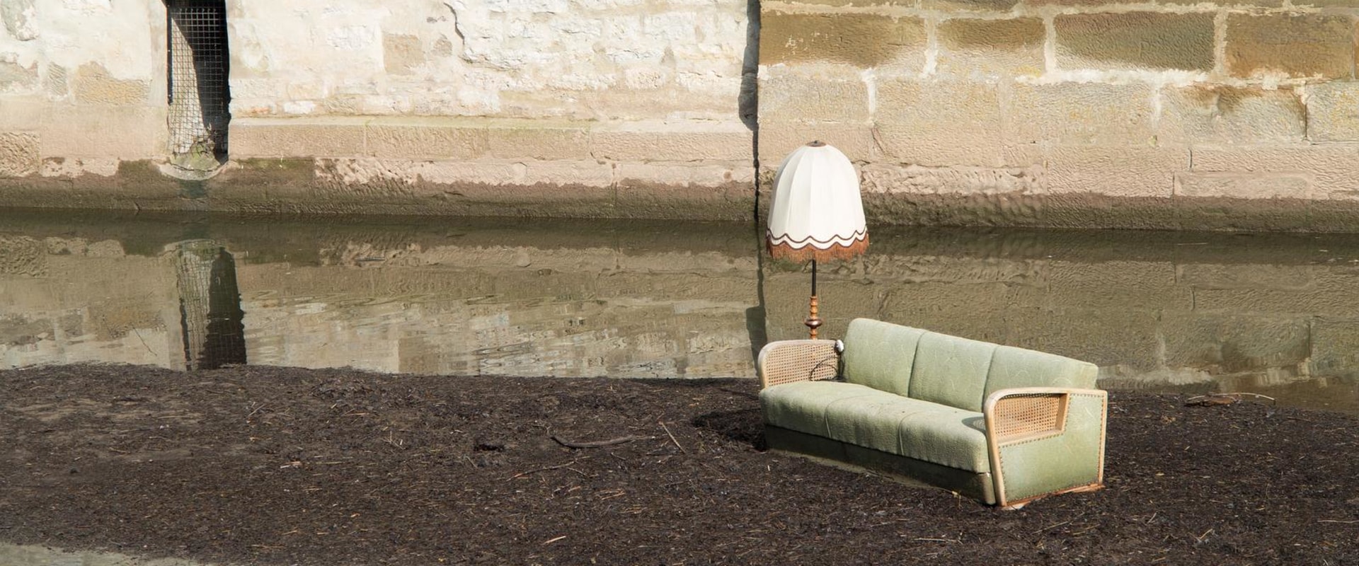 Why You Need Professional Mold Inspection And Removal Services In Chula Vista