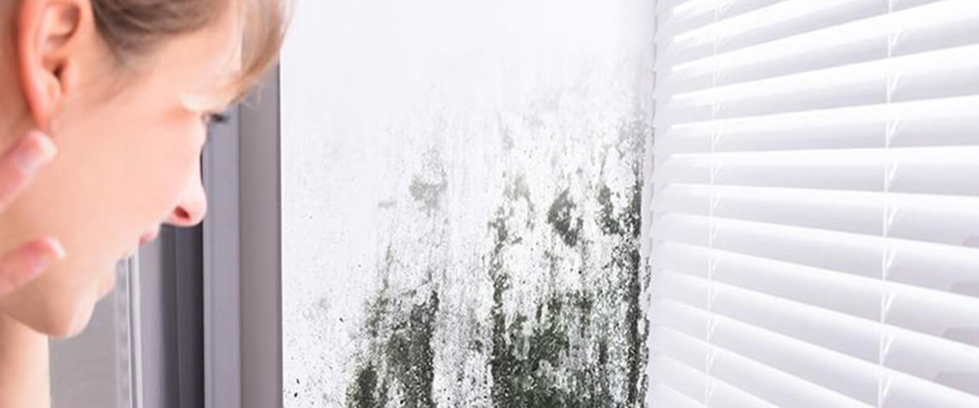 Mold Inspection Considerations for Energy-Efficient Homes