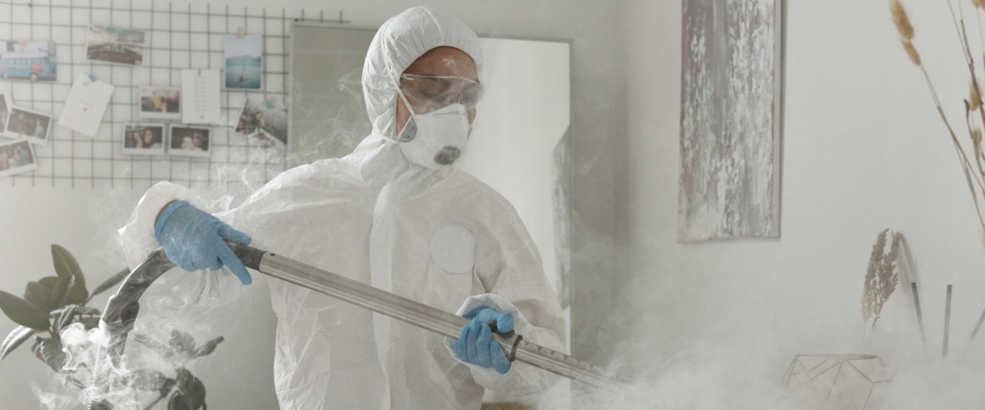 How Mold Inspection Sets The Stage For Mold Removal: A Comprehensive Guide For Champaign Homeowners