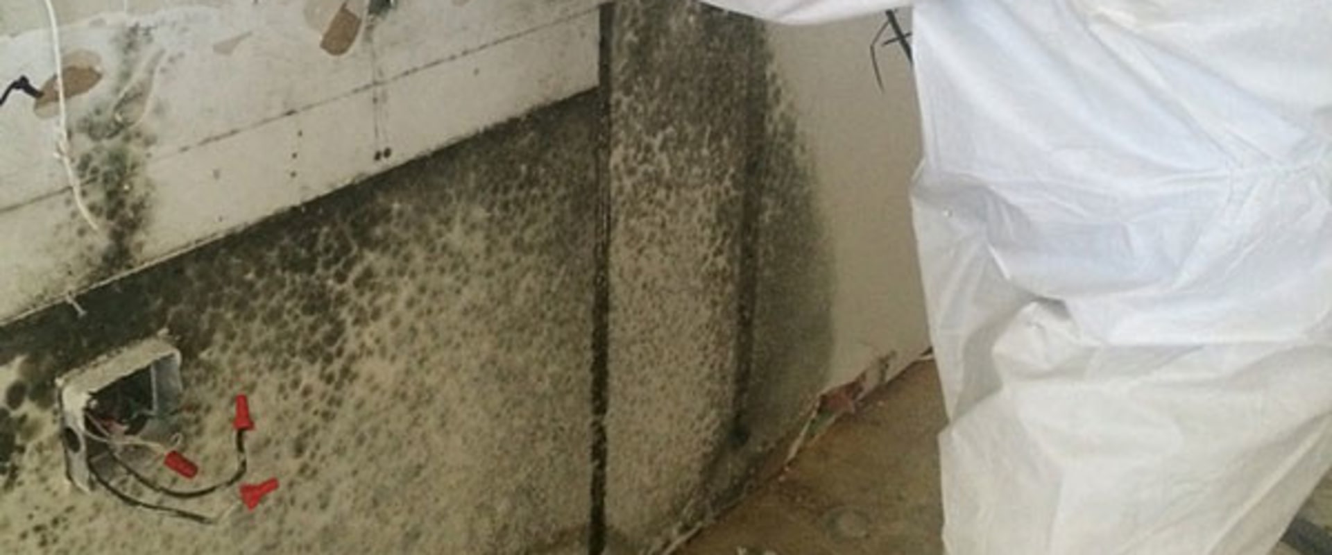 Mold Inspection In Toronto: Waterproofing Prevents Black Molds