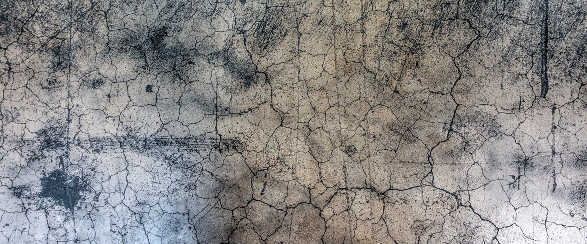 Ensure Your Home's Safety with Mold Inspection and Storm Damage Restoration