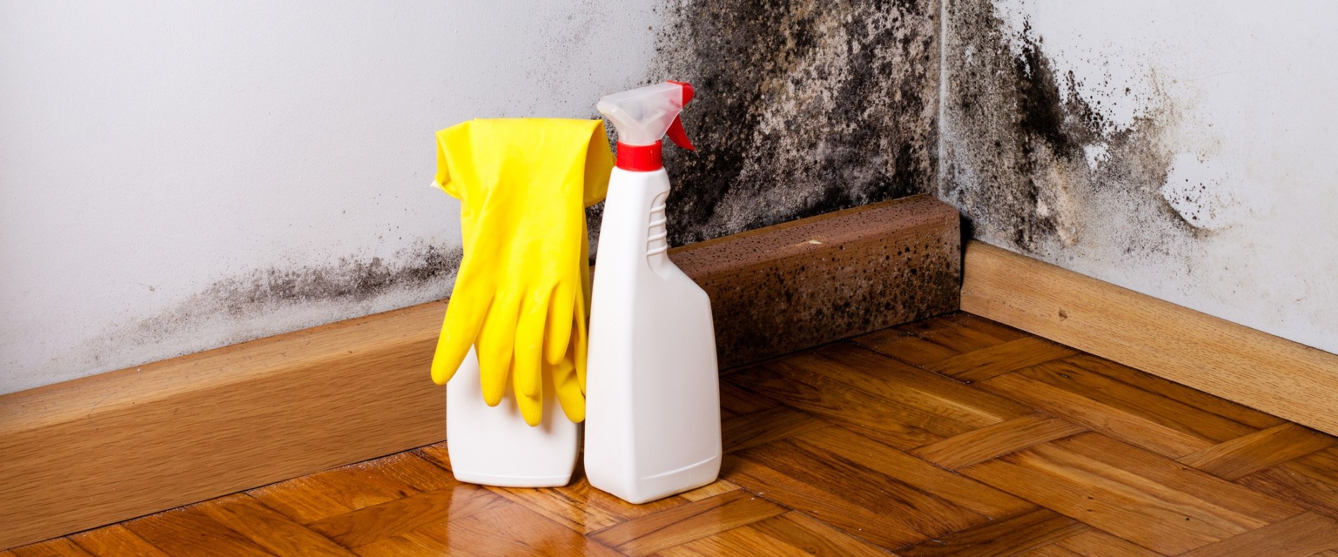 Mold Inspection Matters: Protect Your Home and Health with Early Detection