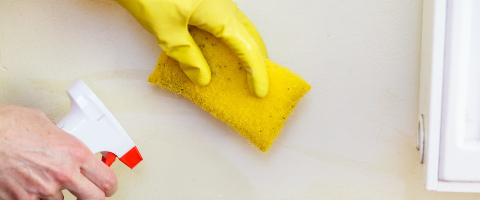 What happens during mold testing?