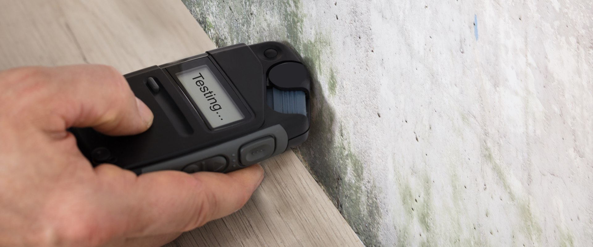 Is mold sampling necessary?