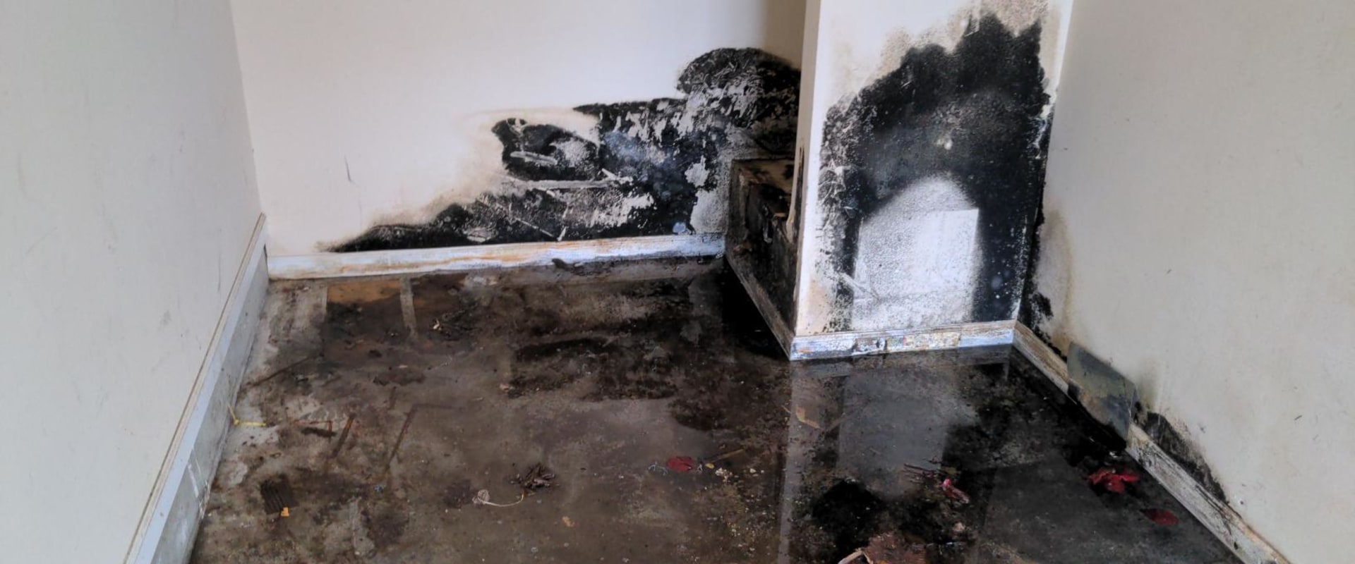 Why Mold Inspection Matters When Moving into an Older Home