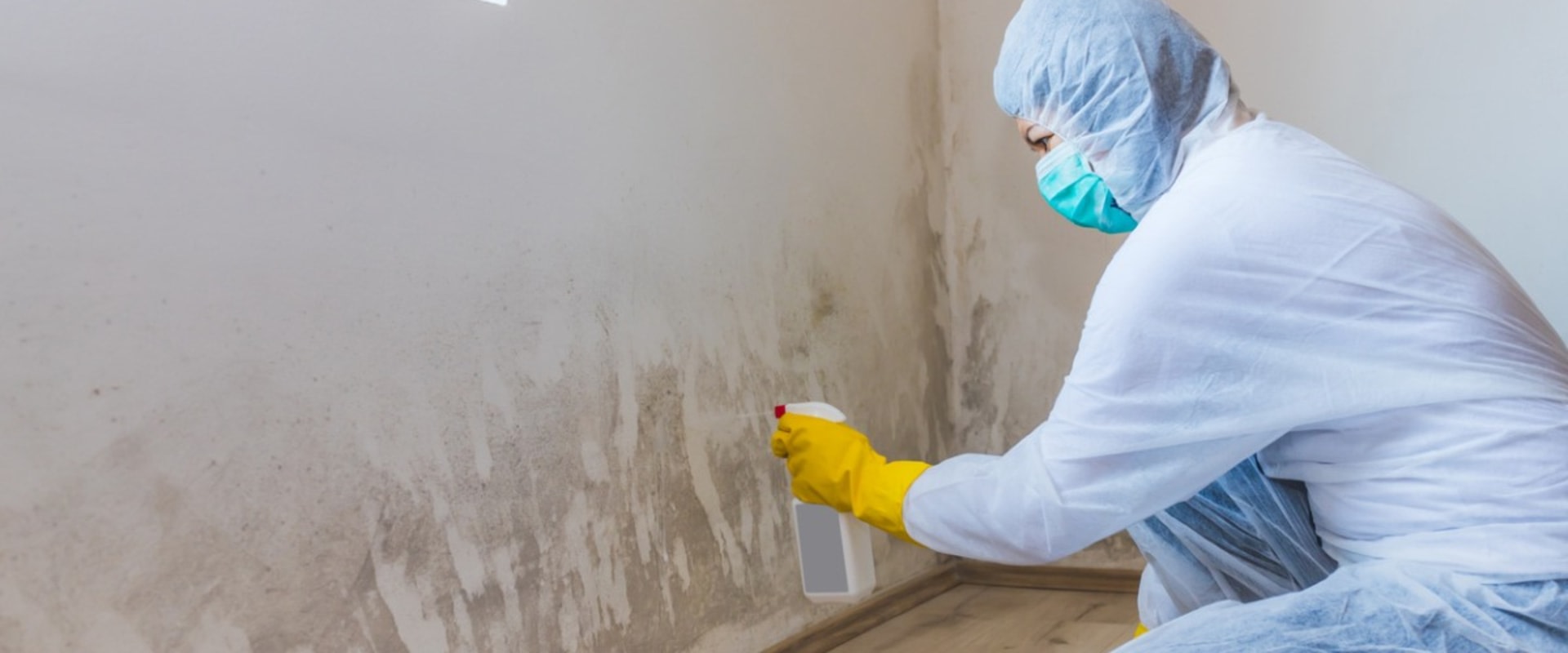 The Ultimate Guide To Mold Remediation And Inspection Services In Hollywood, FL