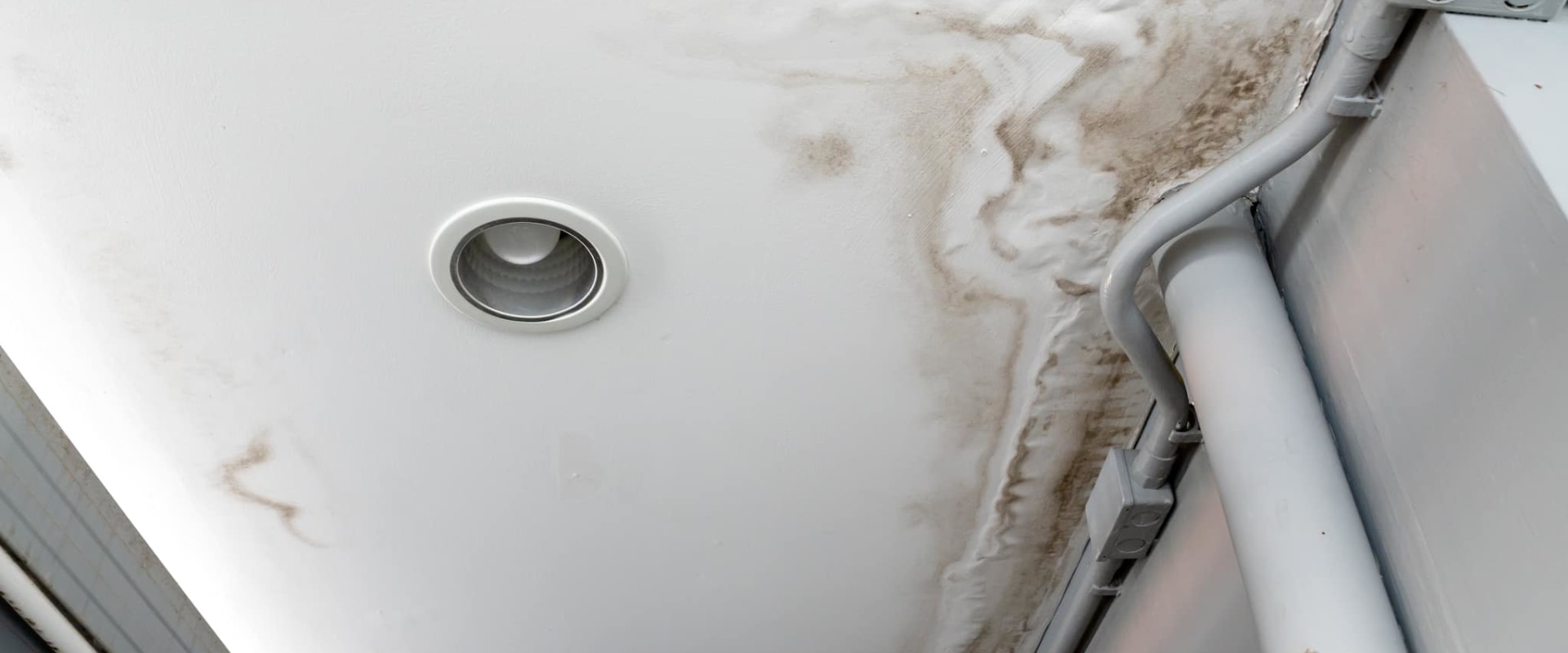 Resolve Plumbing Issues After Mold Inspection