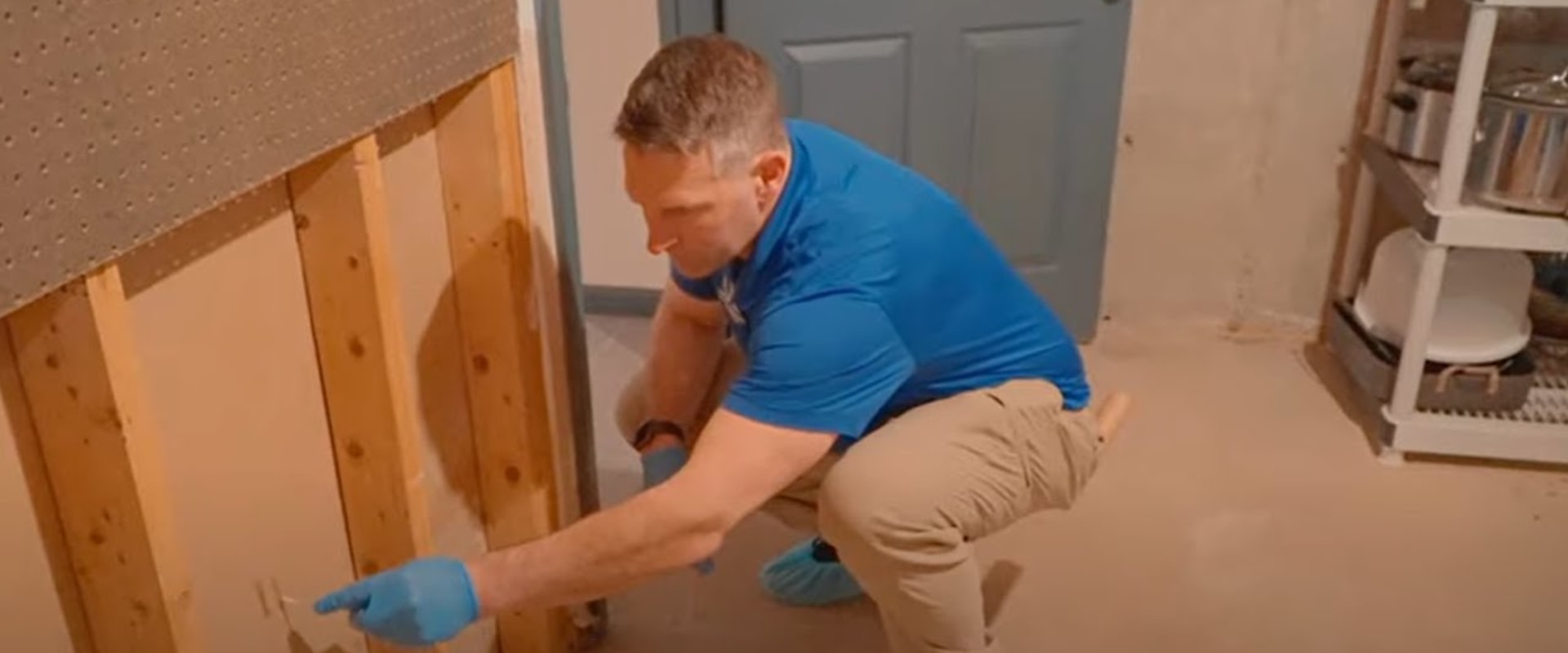 The Importance of Mold Inspection During Home Buying