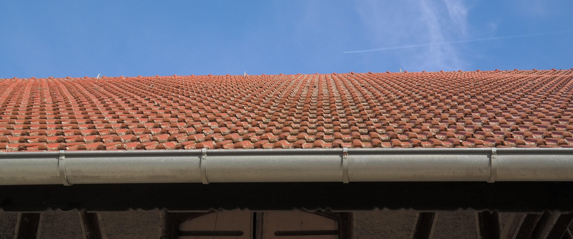 Protect Your Home with Professional Mold Inspection