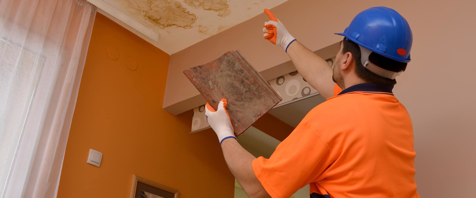 How do inspectors check for mold?