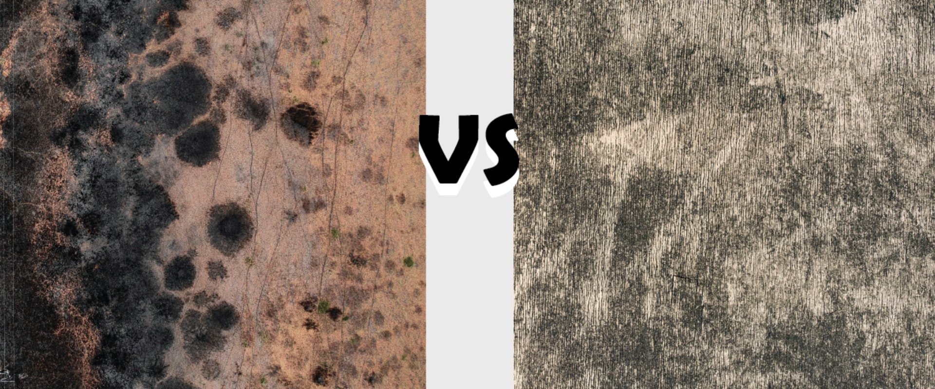 How Mold Remediation Differs Between New Builds and Older Homes