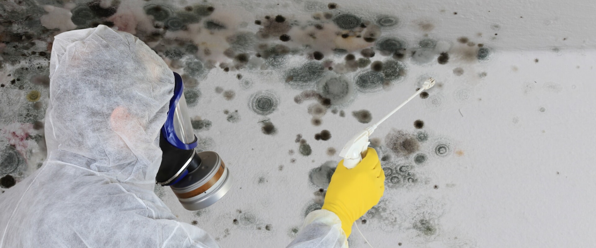 Do i really need mold remediation?