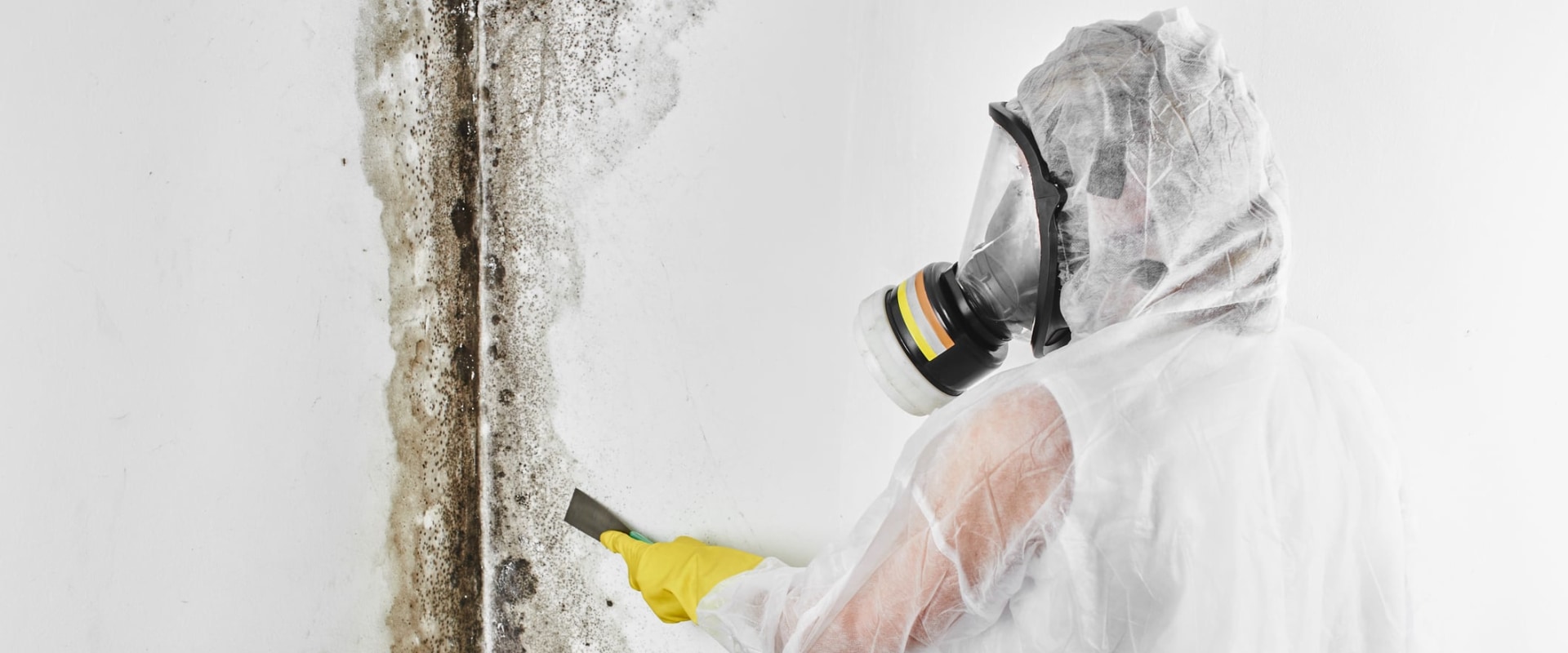 The Final Step To A Cleaner Home: House Cleaning Service In Maryland After Mold Inspection