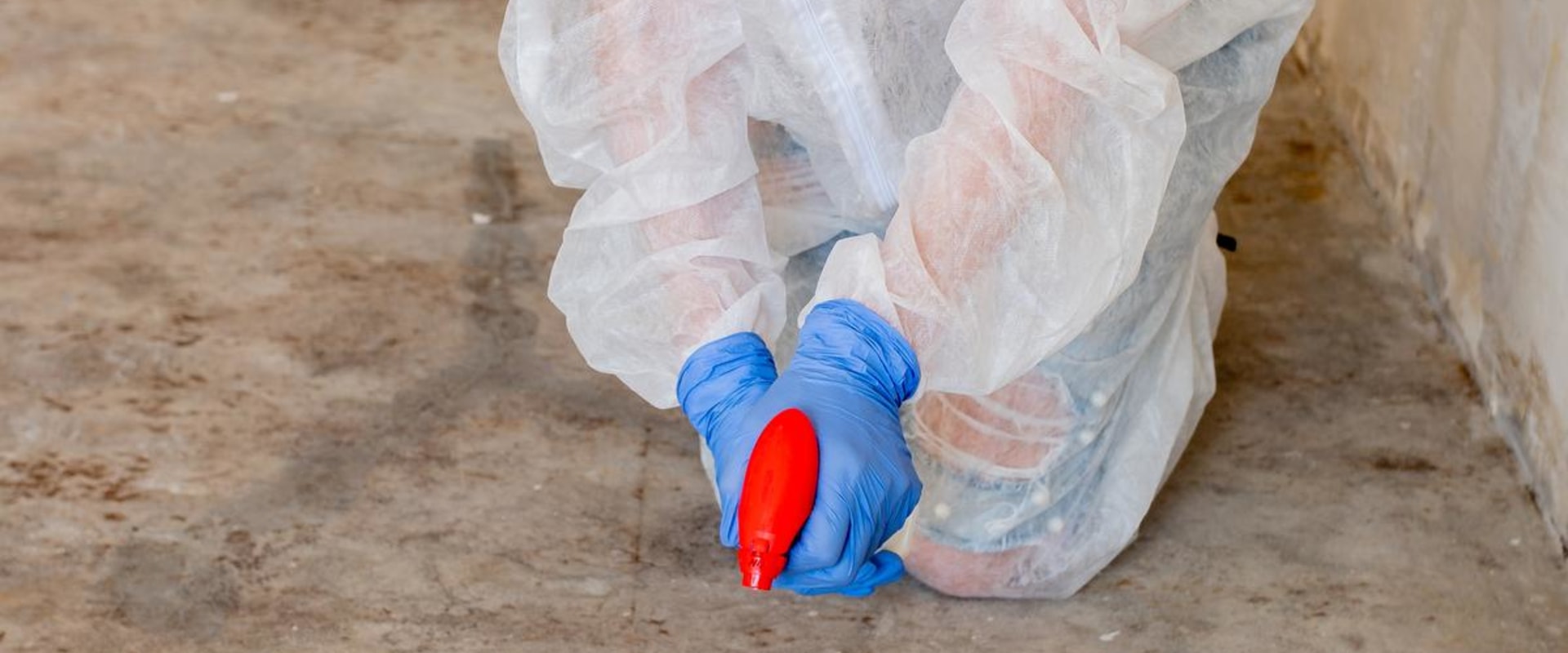 The Importance Of Mold Inspection: Ensuring A Safe And Healthy Home In Post Falls