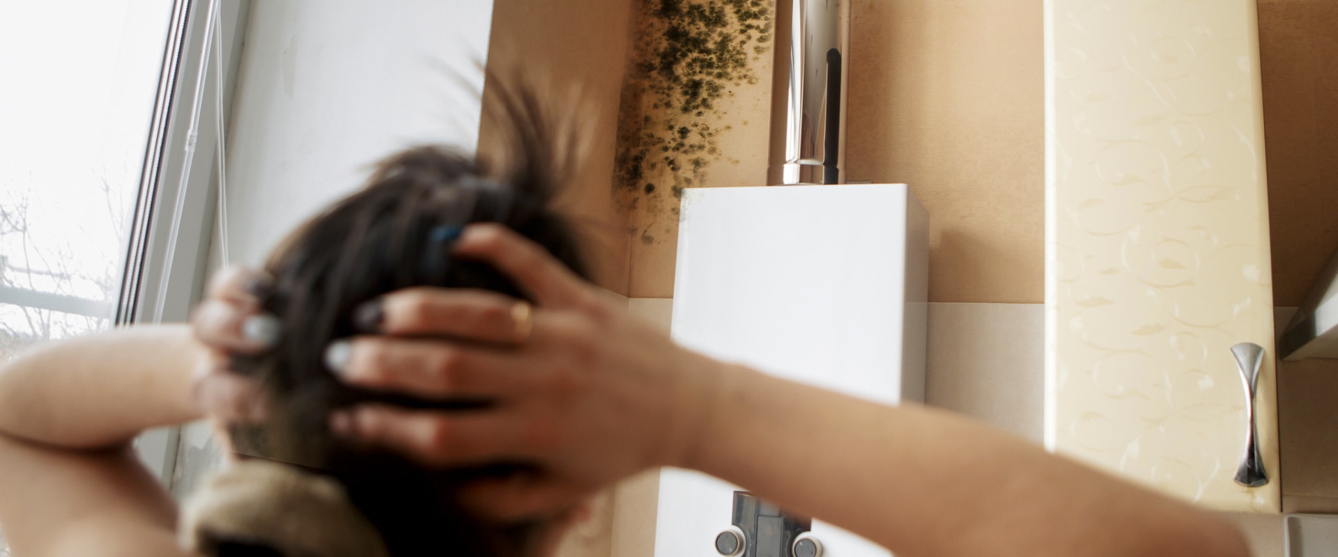 How Water Damage Service Can Protect Your Home Against Mold Inspections In Denver, CO