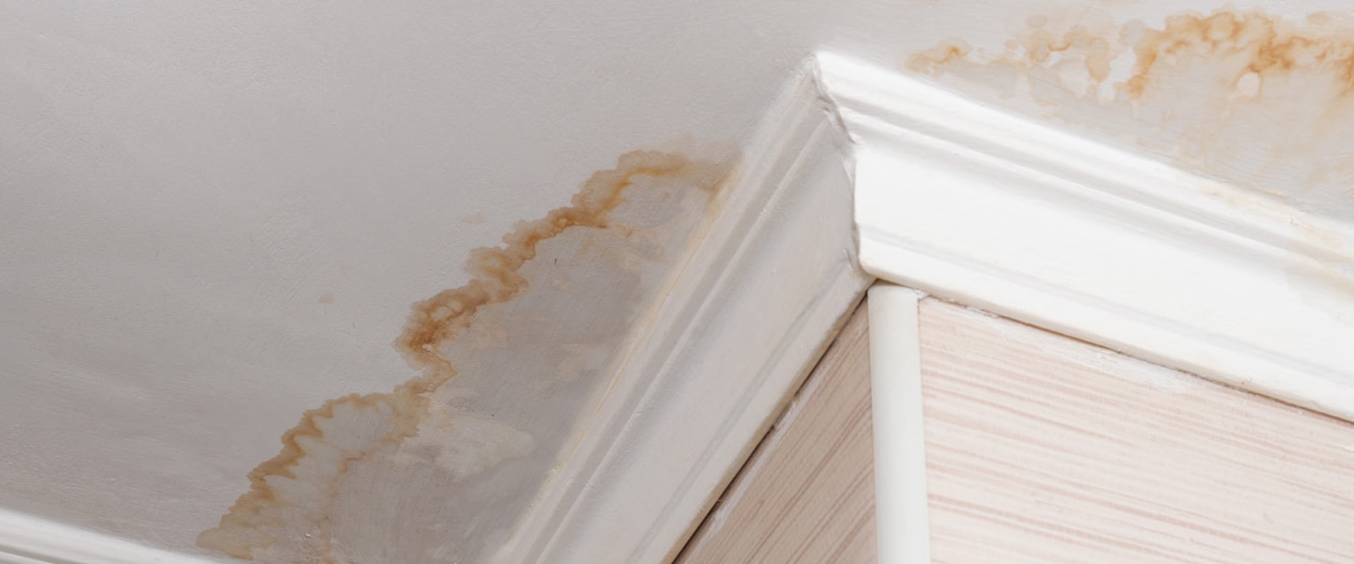 How Sunol Plumbers Help Prevent Water Damage And The Need For Mold Inspection