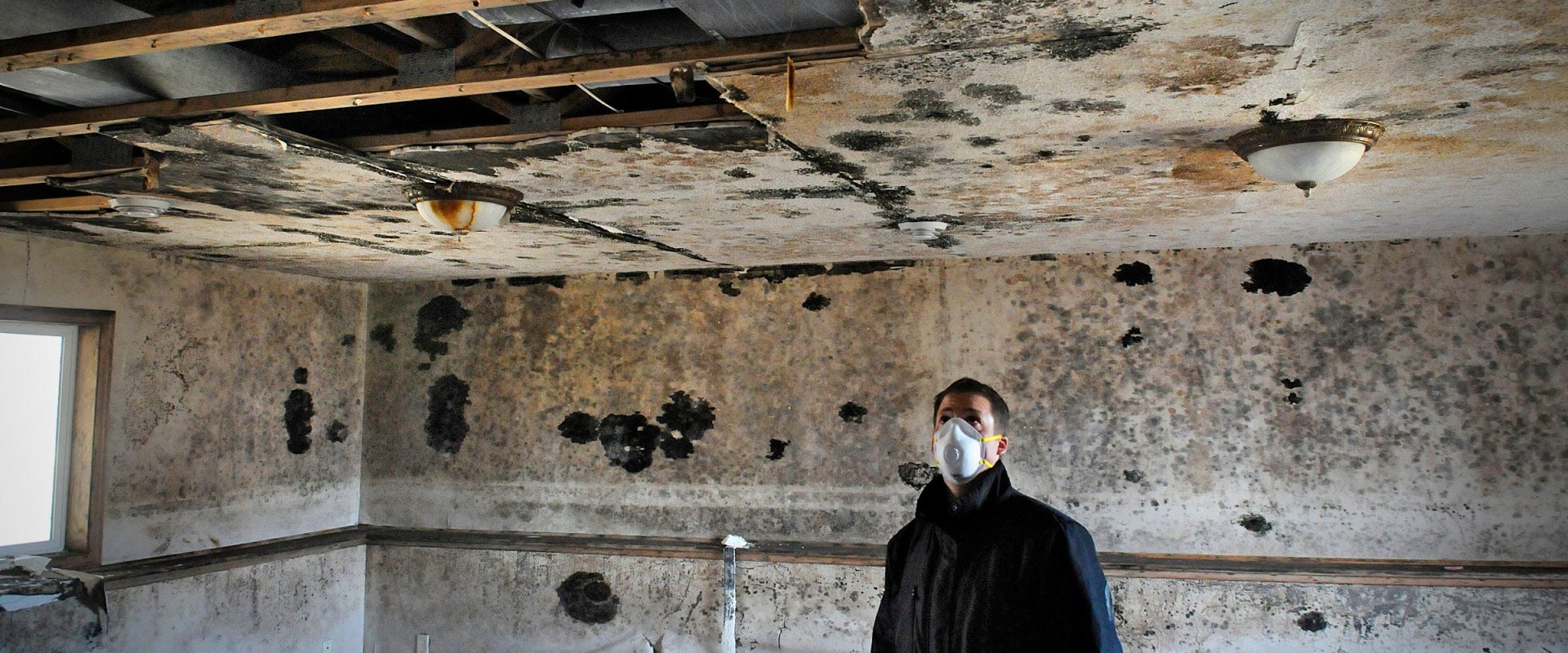 Can a house with mold be fixed?