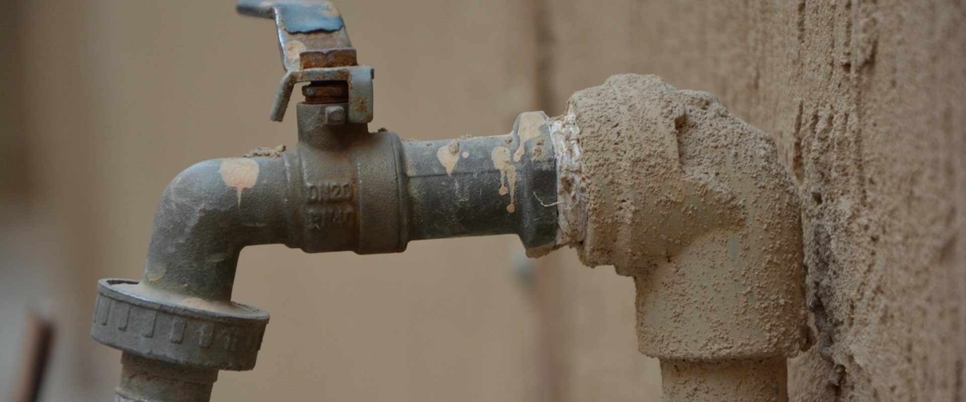 Keep Your Louisville, CO Home Mold-Free with Expert Plumbing