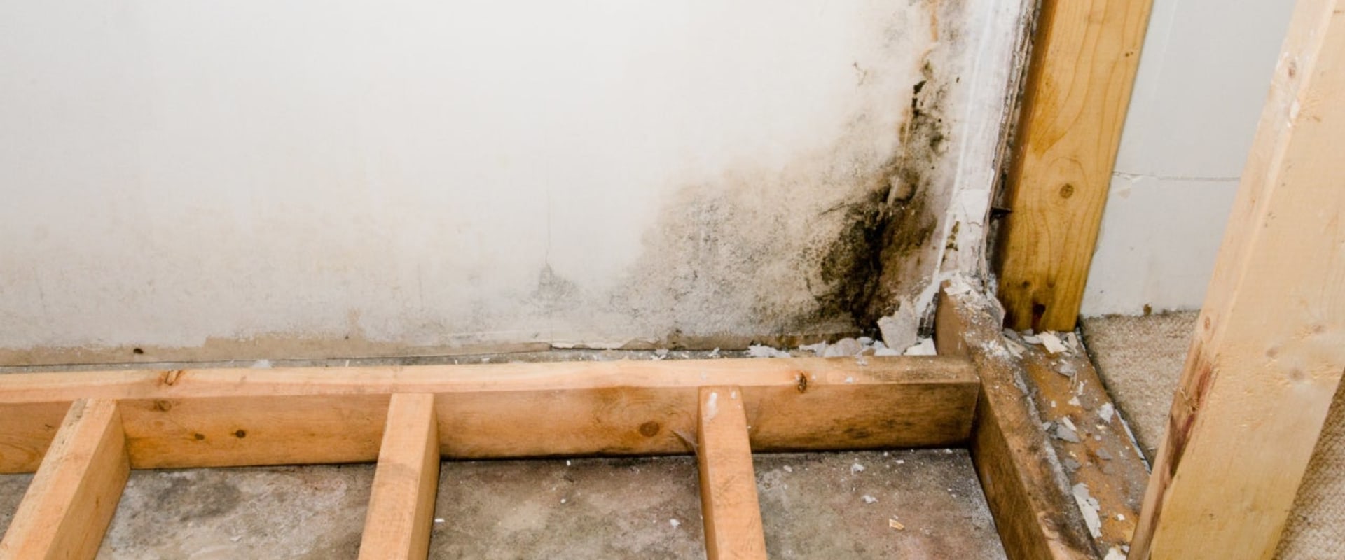 Can mold removal be covered by insurance?