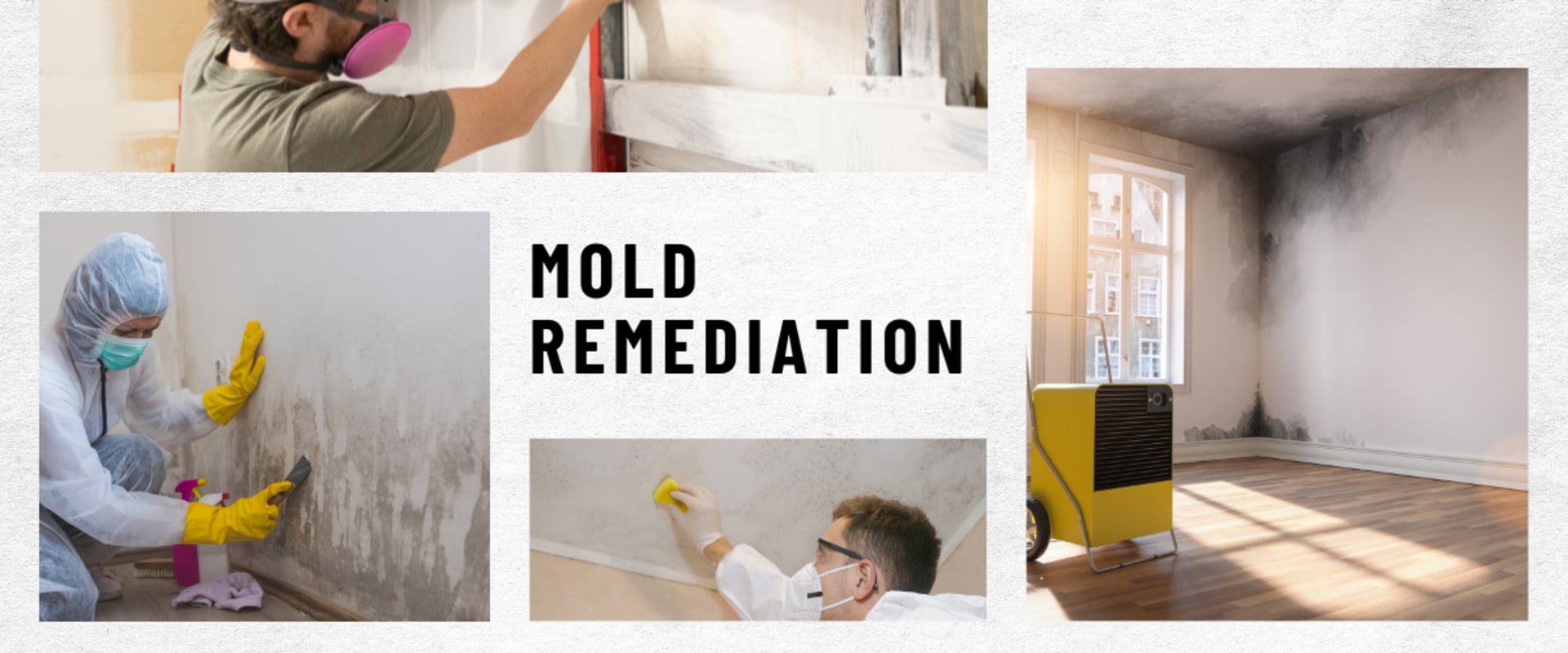 Effective Mold Remediation in St. Louis Park, MN