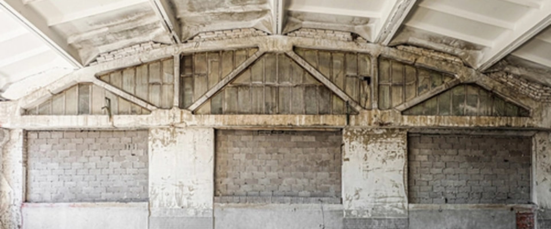 The Hidden Threat: Why Mold Removal Service And Inspection Are Crucial In Indian Land, SC