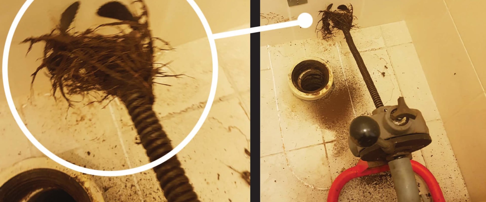 How An Emergency Plumbing Service Can Prevent Mould Growth Prior To Mould Inspection In Adelaide