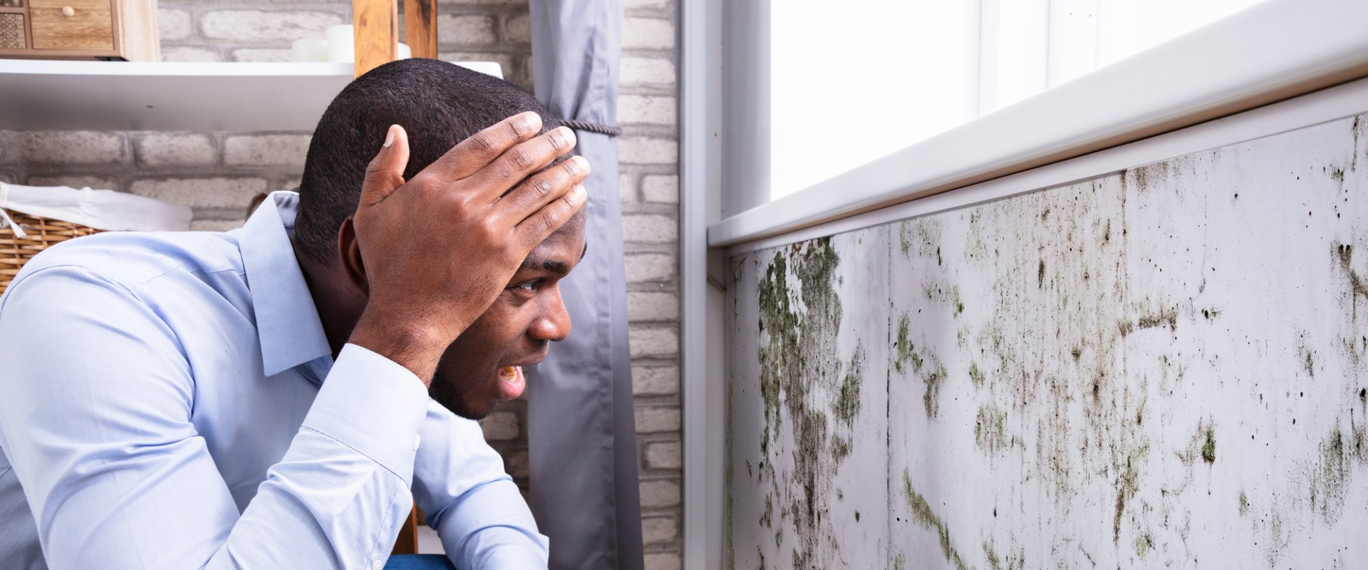 How much mold inspection cost?