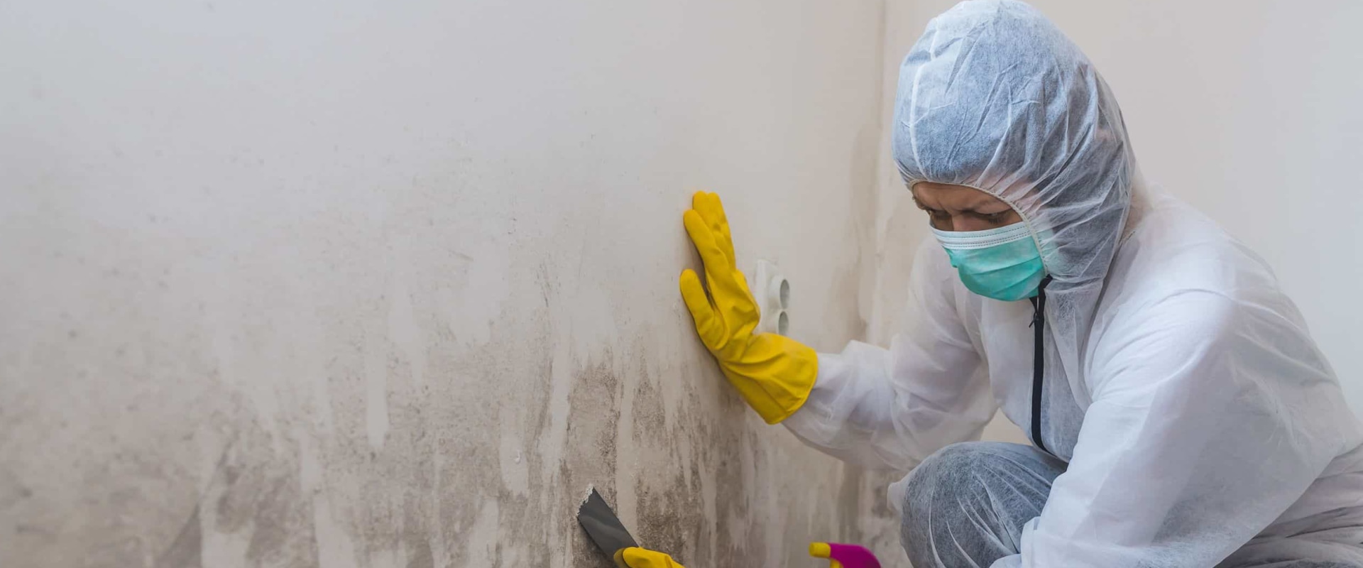 Is it worth getting a mold inspection?