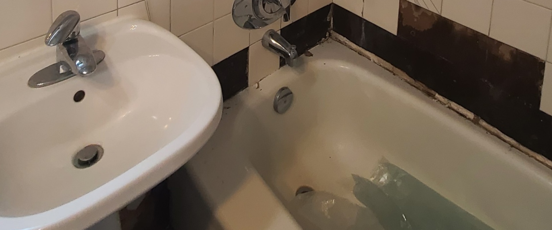 Ensure a Safe Home with Expert Mold Inspection in Oakville