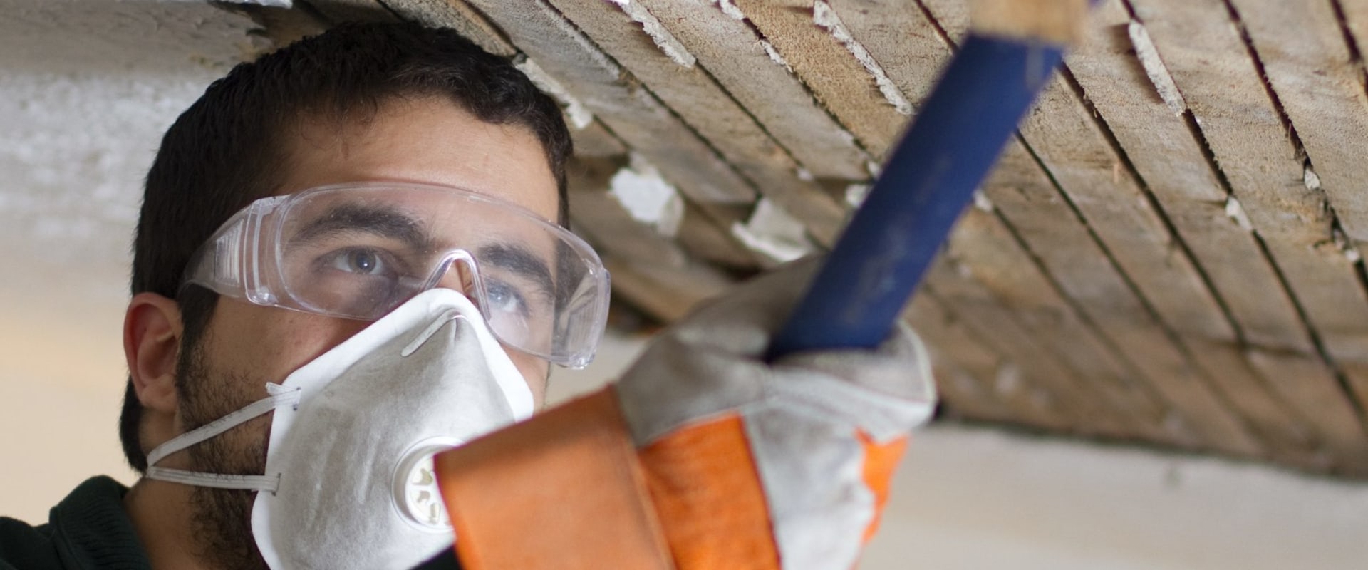 Behind The Scenes: The Connection Between Water Damage Restoration And Mold Inspection In Seattle
