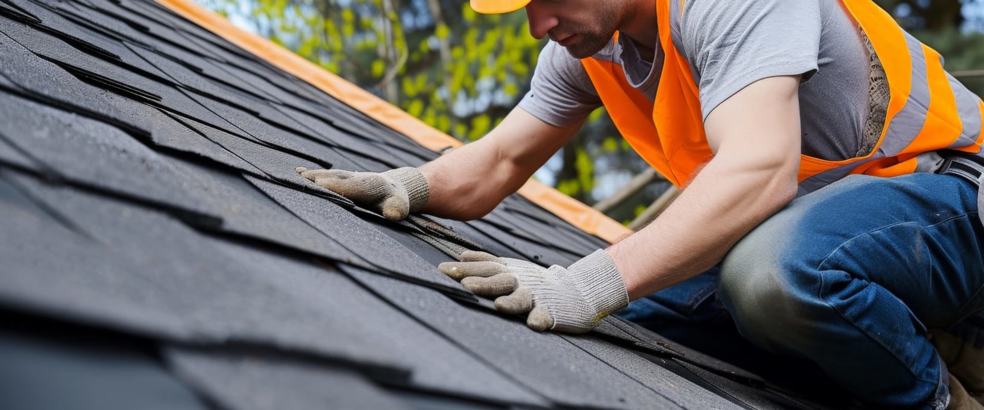 From Mold Inspection To Roof Replacement Service: Restoring Your Front Royal Home