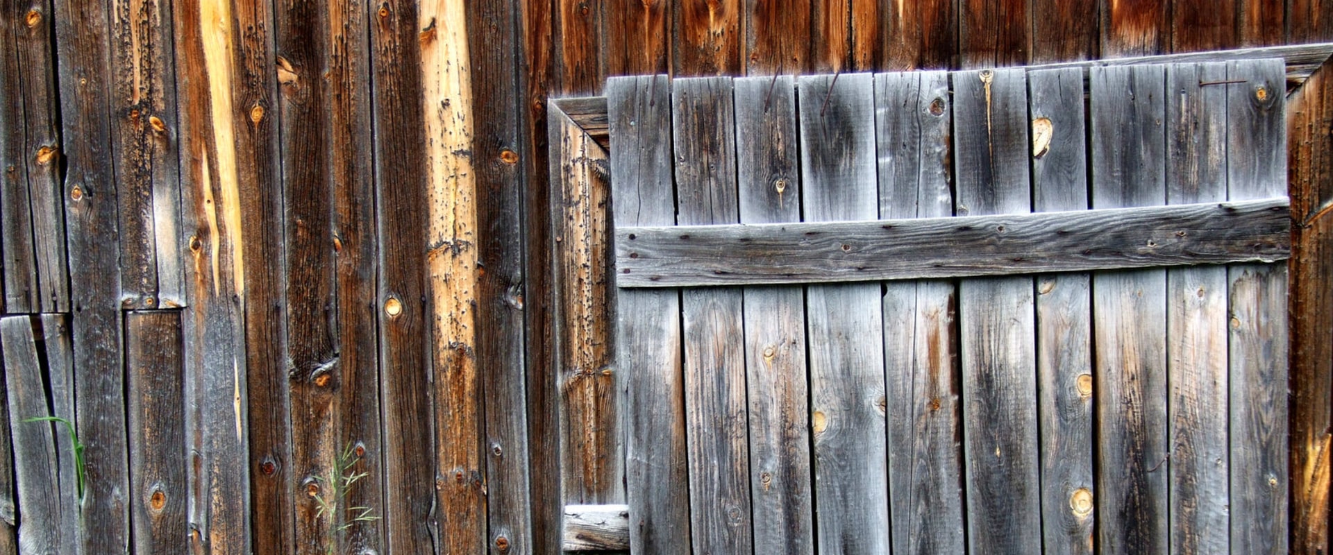 Why Dry Rot Repair Service Should Always Be Paired With Mold Inspection In Tigard, OR?