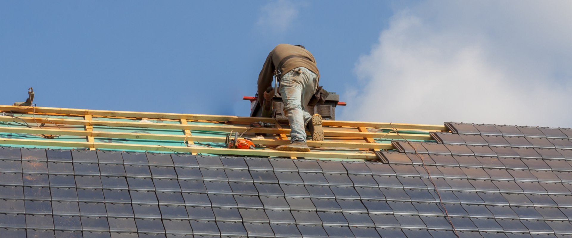 What To Do If You Have Mold In Your Home In Towson