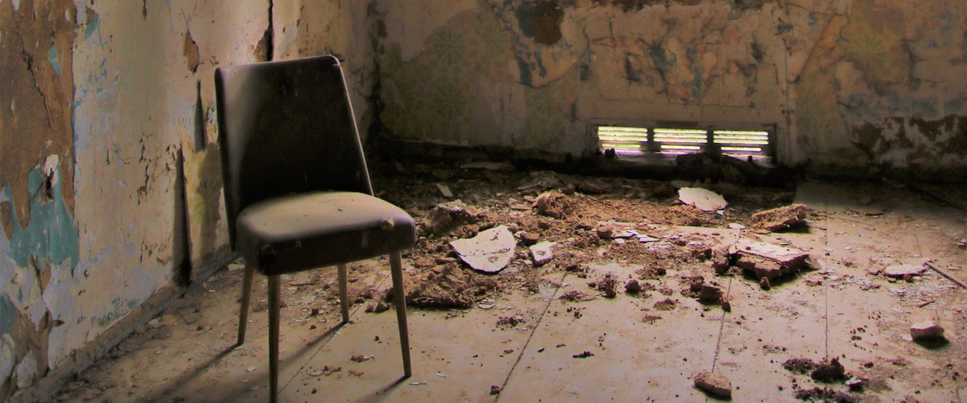 How Mold Inspection Can Ensure Success During Mold Removal Process In Long Island