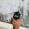 Mold Inspection: Protect Your Home and Health with Early Detection and Prevention
