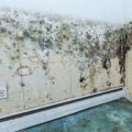 Where to report mold in a house?