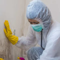Is mold inspection free?