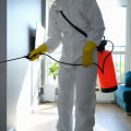 Mold Removal In Tyler, TX: Taking Action After An Inspection Report