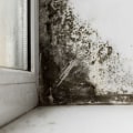 Does home inspection check for mold?