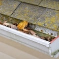 How Seasonal Roof Damage Can Trigger Unexpected Mold Problems Indoors