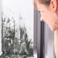 Mold Inspection Considerations for Energy-Efficient Homes