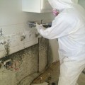 Mold Inspection In Toronto: Waterproofing Prevents Black Molds