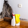 Mold Inspection Matters: Protect Your Home and Health with Early Detection