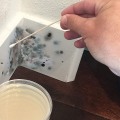Signs Your Home Needs a Mold Inspection In Baltimore, MD