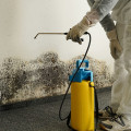 Don't Let Mold Take Over: A Guide To Remediation In Seattle After Inspection