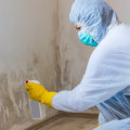 The Ultimate Guide To Mold Remediation And Inspection Services In Hollywood, FL