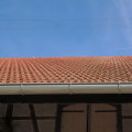 Protect Your Home with Professional Mold Inspection